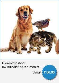 Fotostudio Wim, Driel, Gelderland, fotoshoot huisdieren